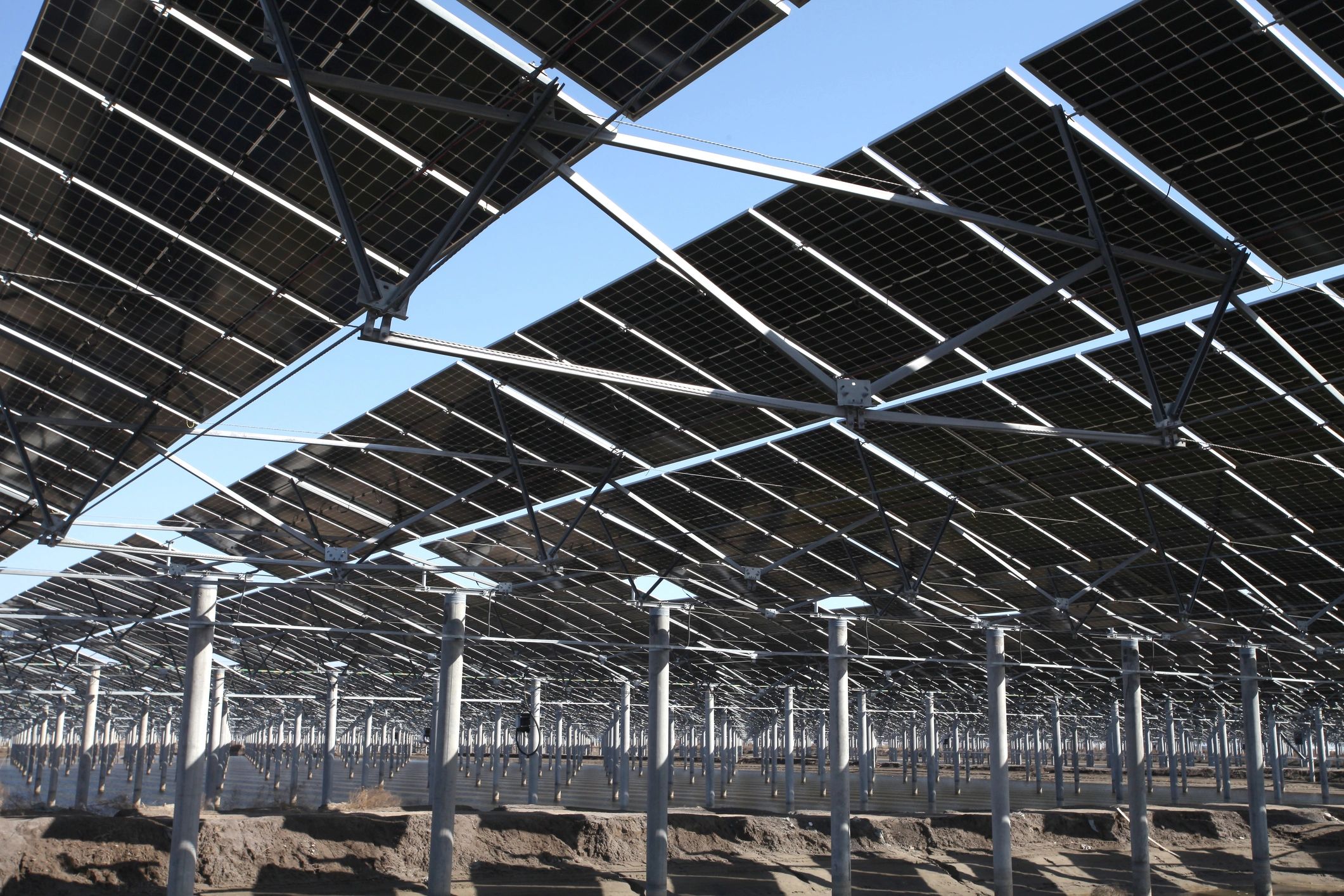 Large-scale solar array representing dependable renewable energy infrastructure